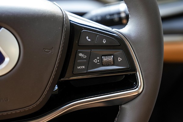 Denza D9 Premium interior 3