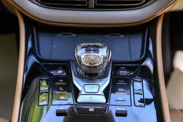 Denza D9 Premium interior 7
