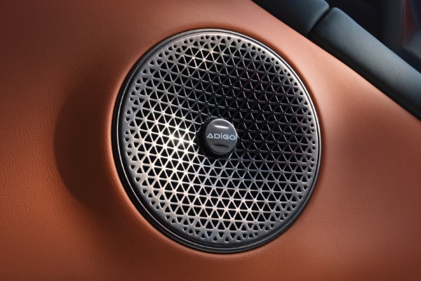 GAC Aion V 602 Luxury interior 4