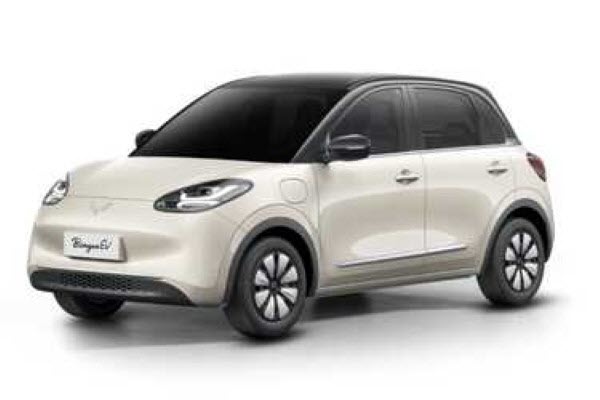 Wuling Binguo EV LITE
